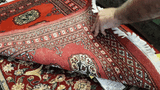 25058-Bokhara Hand-Knotted/Handmade Pakistani Rug/Carpet Tribal/Nomadic Authentic/ Size: 3'0" x 2'2"